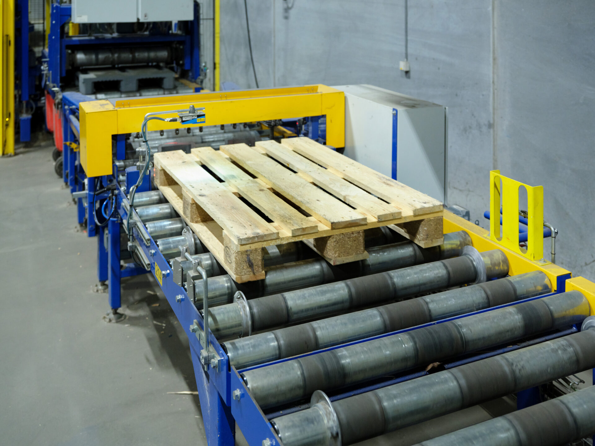 Brugt Sorteringsanlæg til EUR, LPR, CHEP og Plastik paller